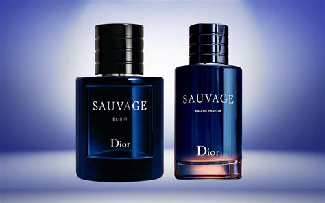 prada parfum vs sauvage|sauvage dior cologne reviews.